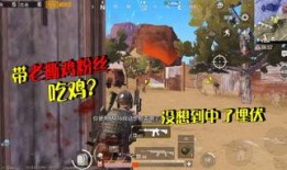 吃鸡ak最新爆料图片,外观升级，性能再突破！